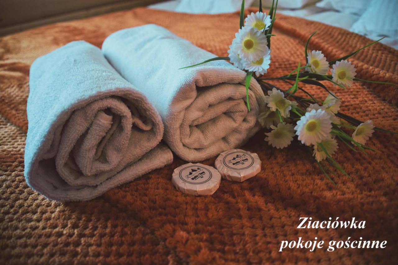 Ziaciowka Apartment Rzepiska Екстериор снимка